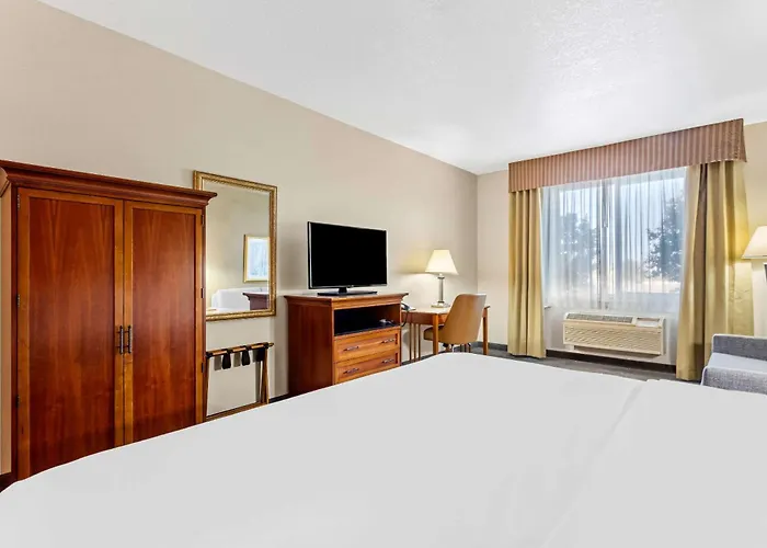 Comfort Inn & Suites I-25 Near Spaceport America